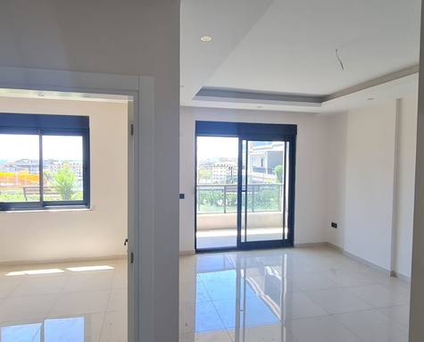 Property Detail